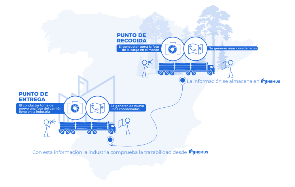 Software de trazabilidad de madera: cómo simplificar el control del suministro forestal