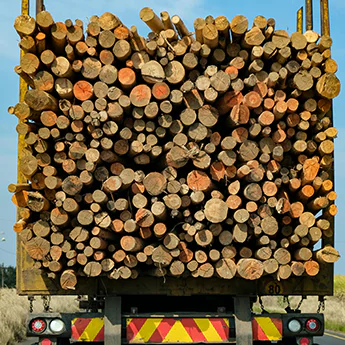 Gestión del aprovisionamiento de madera: claves, retos y soluciones